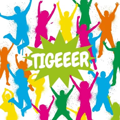 AI TIGERver11